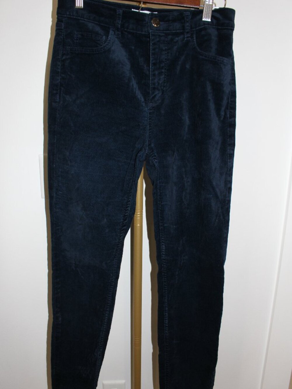 Women's Loft Velvet Blue Skinny Pants Size 4R
